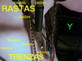 20060803144930-rastas-y-trenzas.jpg