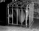 20060811180308-images.jpg